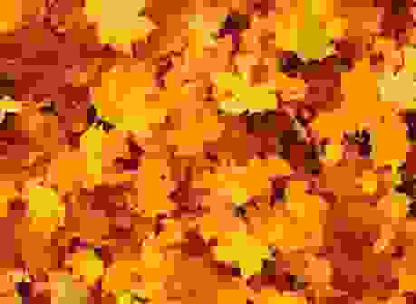Herbstpackage