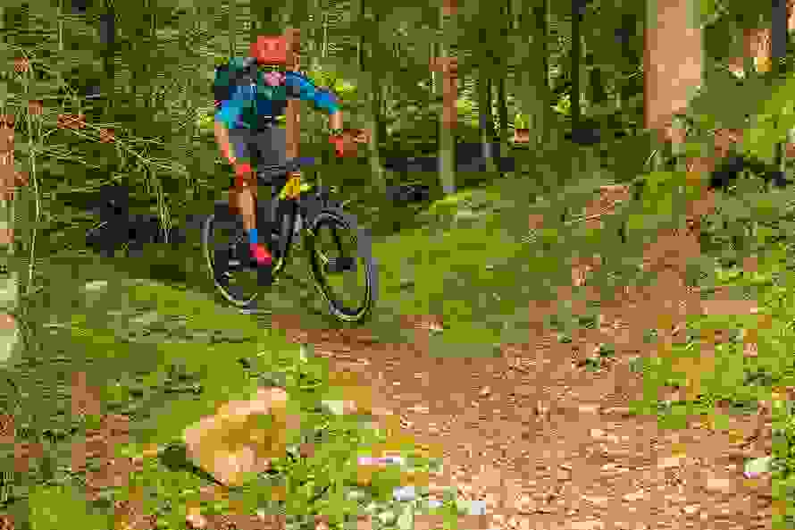Biken auf dem Beatenberg